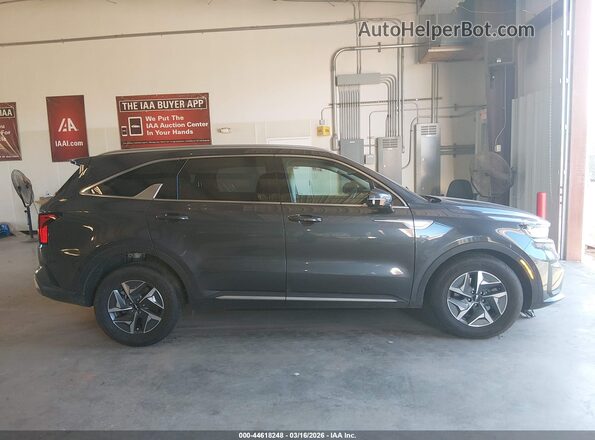 KNDRGDLG2N5081497 2022 KIA SORENTO HYBRID Black 