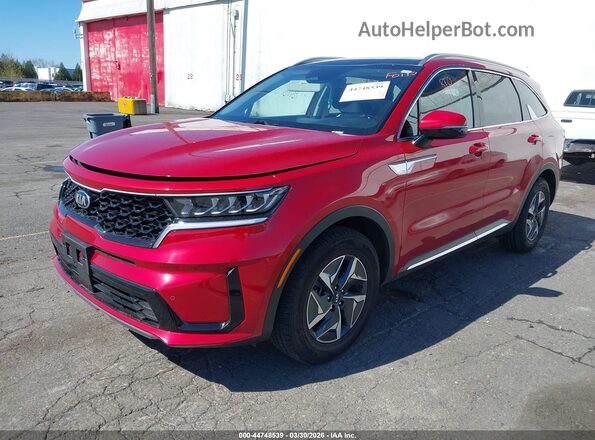 KNDRH4LG0M5032181 2021 KIA SORENTO HYBRID Red Przód lewy