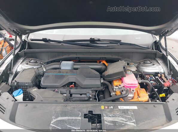 KNDRH4LG2P5228644 2023 KIA SORENTO HYBRID Gray უკანა ხედი