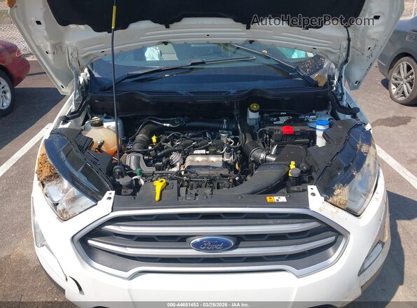 MAJ3S2GE2MC407896 2021 FORD ECOSPORT White Rear view