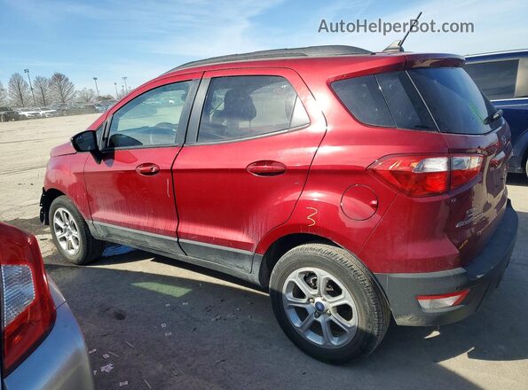 MAJ3S2GE5MC424353 2021 FORD ECOSPORT Red უკანა მარცხენა