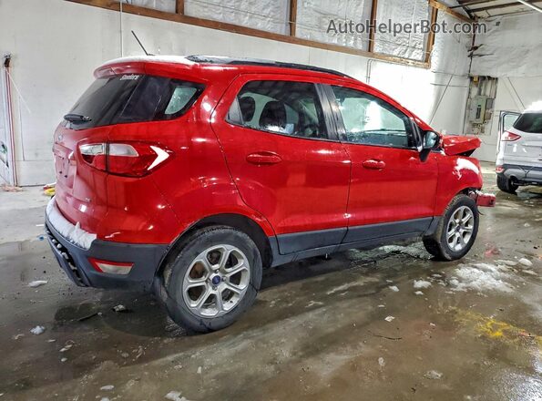 MAJ3S2GE6MC455577 2021 FORD ECOSPORT Red Հետևի աջ