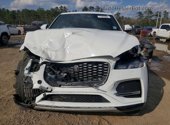 SADCJ2EX0PA714702 2023 JAGUAR F-PACE Белый Вид спереди