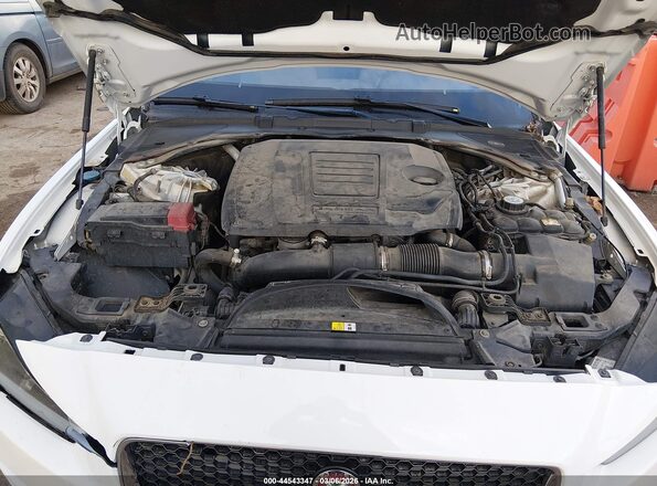 SAJAR4FX9KCP47542 2019 JAGUAR XF Белый Вид сзади