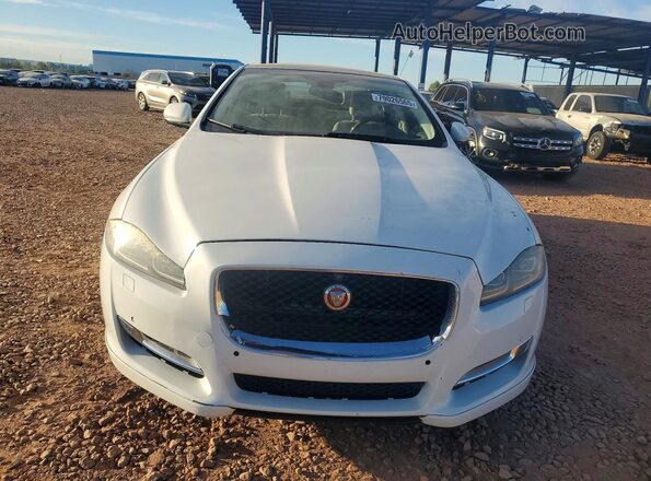 SAJWA1C76G8V93866 2016 JAGUAR XJ Белый Вид спереди