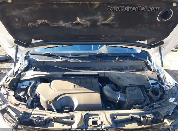 SALCJ2FX1LH834495 2020 LAND ROVER DISCOVERY SPORT White Widok z tyłu