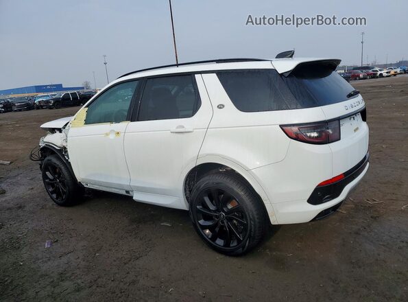 SALCJ2FX6SH362549 2025 LAND ROVER DISCOVERY White Tył lewy