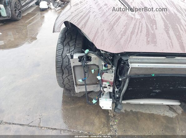 SCFVUJAW4MTV02714 2021 ASTON MARTIN DBX Burgundy 