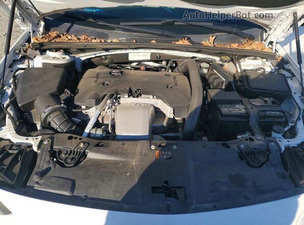 W04GP6SX8K1005591 2019 BUICK REGAL White უკანა სალონის ხედი
