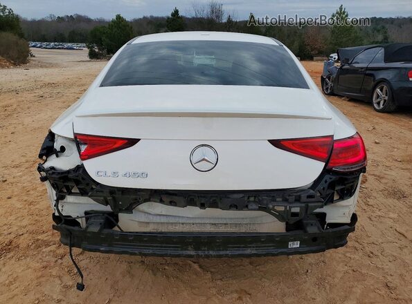 W1K2J5JB6LA072201 2020 MERCEDES-BENZ CLS-CLASS White Հետևի տեսք
