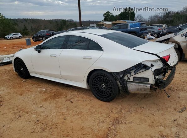 W1K2J5JB6LA072201 2020 MERCEDES-BENZ CLS-CLASS White Հետևի ձախ