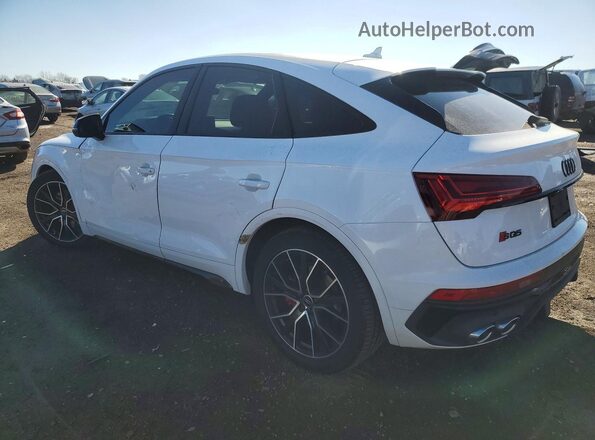 WA124AFY3P2070651 2023 AUDI SQ5 White Rear left