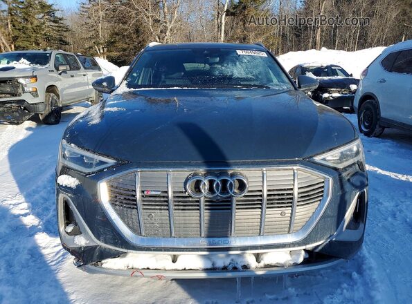 WA13AAGE0LB033245 2020 AUDI E-TRON Угольный Вид спереди
