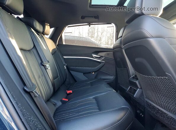 WA13AAGE0LB033245 2020 AUDI E-TRON Угольный Вид задних сидений