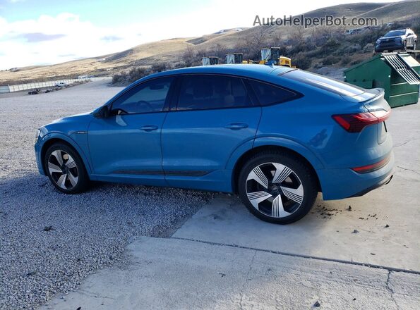 WA13AAGE4MB029720 2021 AUDI E-TRON Blue Задня ліва чверть