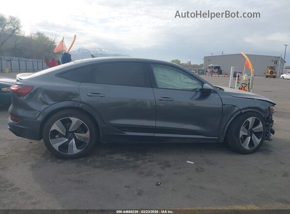 WA13AAGE7MB020722 2021 AUDI E-TRON Серый Панорамный вид салона 360°