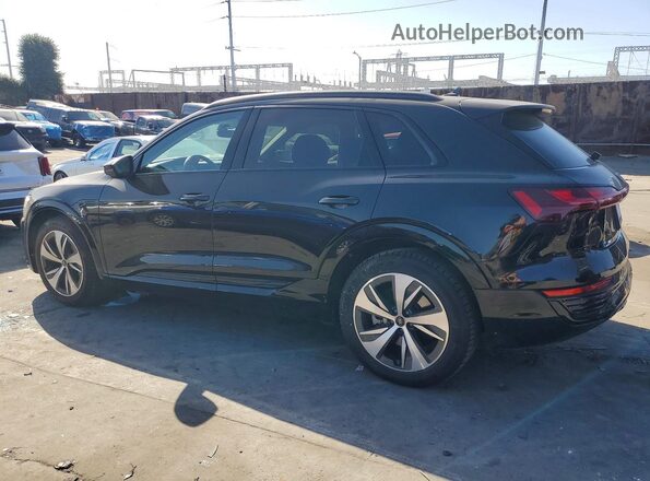 WA14AAGEXRB046212 2024 AUDI Q8 Black Հետևի ձախ