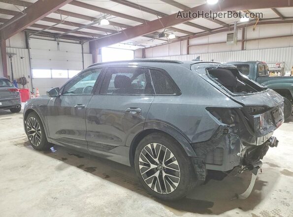 WA15AAGE6RB066736 2024 AUDI Q8 Gray Tył lewy