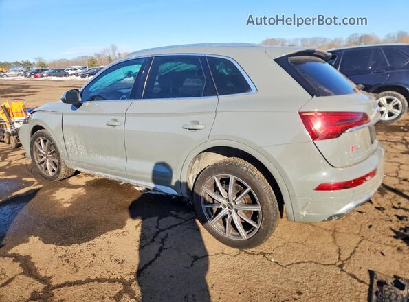 WA1A4AFY7N2046443 2022 AUDI SQ5 White უკანა მარცხენა
