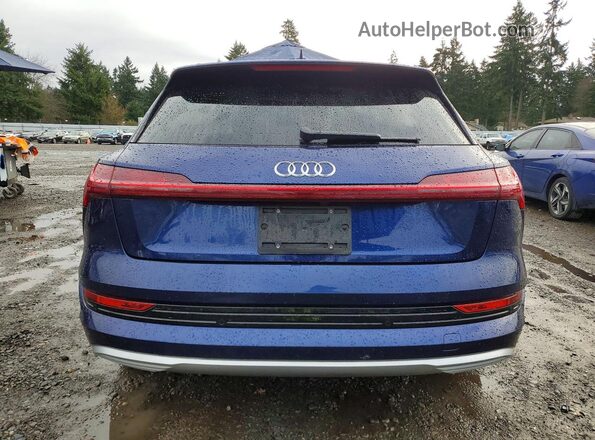 WA1AAAGE0MB008158 2021 AUDI E-TRON Синий Вид сзади