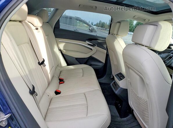 WA1AAAGE0MB008158 2021 AUDI E-TRON Синий Вид задней части салона