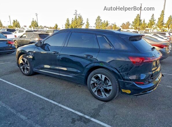 WA1AAAGE3MB024869 2021 AUDI E-TRON Black Rear left