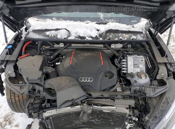 WA1B4AFY0P2146312 2023 AUDI SQ5 Black Vista del compartimento del motor