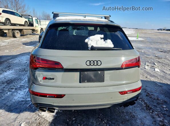 WA1C4AFY0M2093353 2021 AUDI SQ5 Gray უკანა ხედი