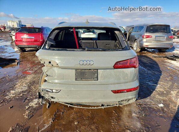 WA1C4AFY9K2058839 2019 AUDI SQ5 Gray Вид ззаду