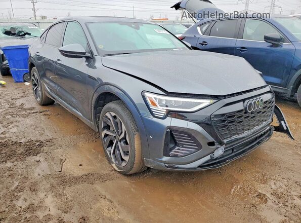 WA1CAAGEXRB020141 2024 AUDI Q8 Gray 