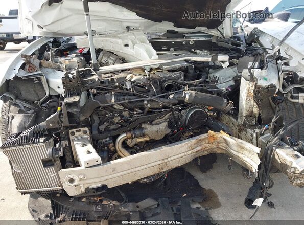 WA1CWBF16LD022941 2020 AUDI SQ8 White Вид ззаду