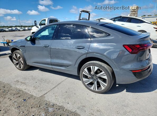 WA1DAAGE4RB054449 2024 AUDI Q8 Gray Задня ліва чверть