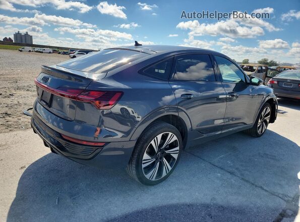 WA1DAAGE4RB054449 2024 AUDI Q8 Gray Задня права чверть