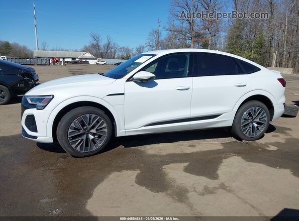WA1DABGE3RB060698 2024 AUDI Q8 E-TRON White 