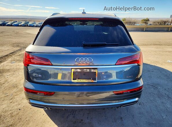 WA1EAAFY2R2029663 2024 AUDI Q5 Gray Հետևի տեսք