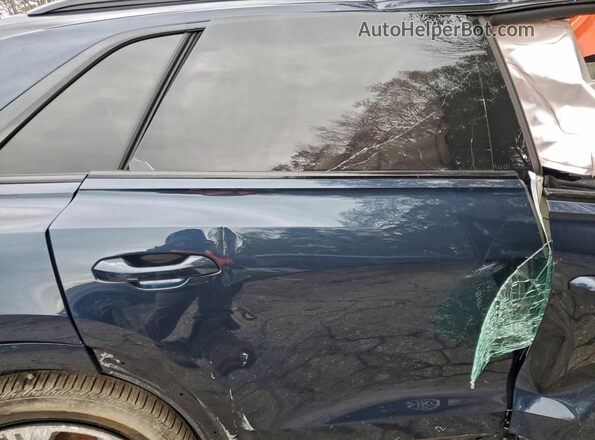 WA1EVBF1XSD023598 2025 AUDI Q8 Синий Вид задних сидений