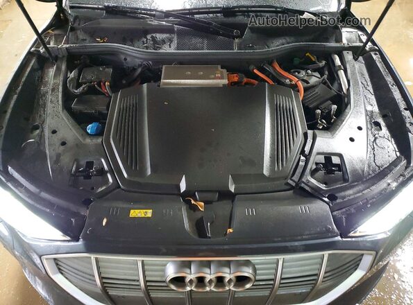 WA1LAAGE7MB003631 2021 AUDI E-TRON Gray Vista interior trasera