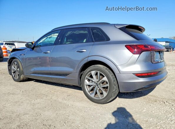 WA1LAAGE9MB037618 2021 AUDI E-TRON Серый Задняя левая четверть