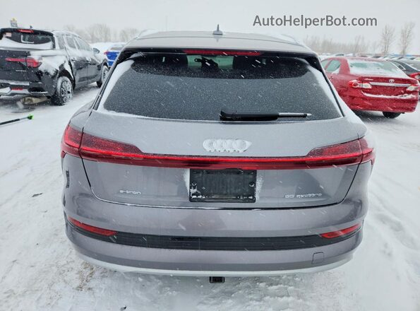WA1VAAGE0KB008742 2019 AUDI E-TRON Серый Вид сзади