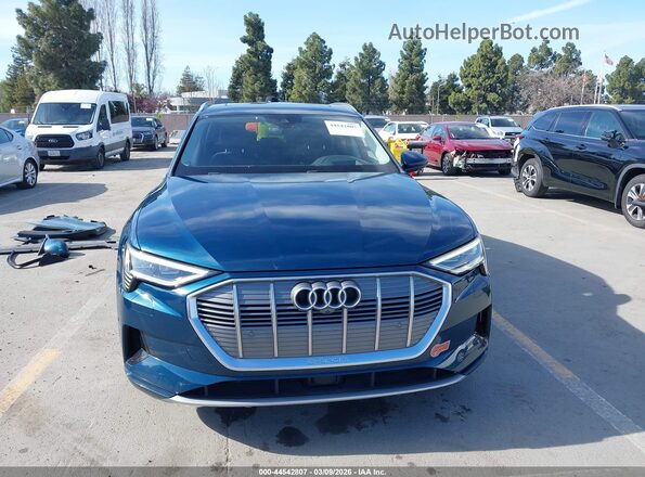 WA1VAAGE0KB017232 2019 AUDI E-TRON Blue Vista interior trasera