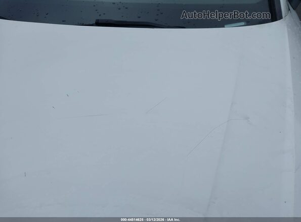 WAUANAF40HN015129 2017 AUDI OTHER White Դիմացի տեսք