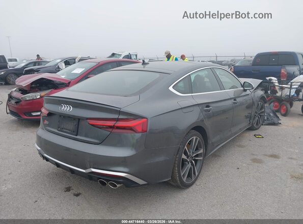 WAUB4CF59PA006589 2023 AUDI S5 Gray Trasero derecho
