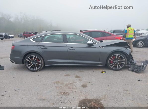 WAUB4CF59PA006589 2023 AUDI S5 Gray Vista interior trasera