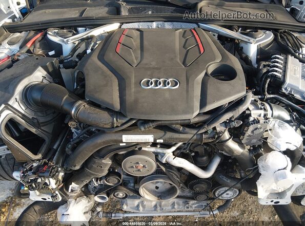 WAUC4CF55PA051954 2023 AUDI S5 Белый Вид сзади