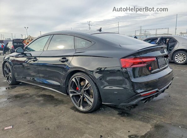 WAUC4CF5XRA028866 2024 AUDI S5 Black Задня ліва чверть
