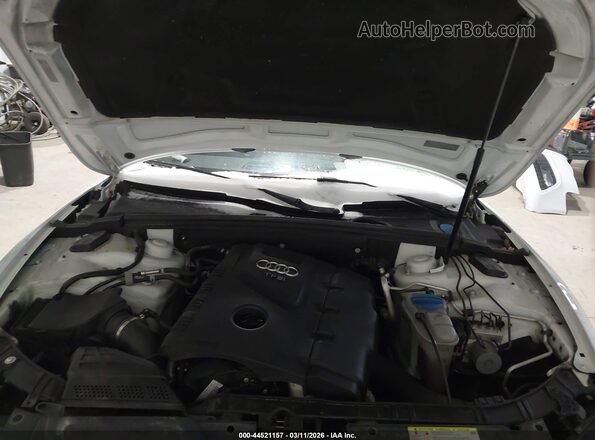 WAUD2AFRXGA047898 2016 AUDI OTHER White უკანა ხედი