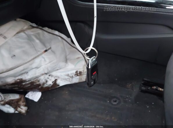 WAUEAAF48MN005245 2021 AUDI OTHER Black 