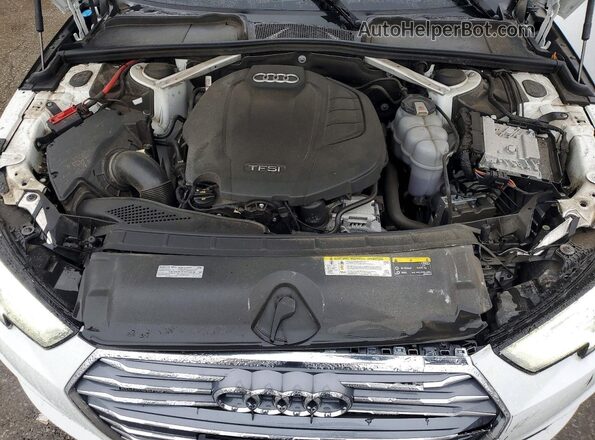 WAUENAF41KA061116 2019 AUDI OTHER White Սալոնի հետևի տեսք