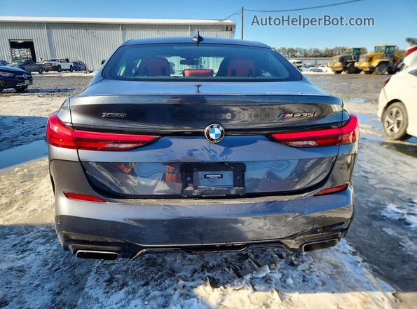 WBA13AL0XL7F58317 2020 BMW M2 Gray 