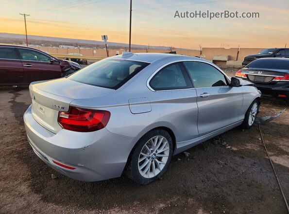 WBA1F9C50GV545768 2016 BMW 2 SERIES Silver Հետևի աջ
